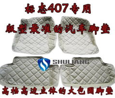 廠家直銷品質之選 專為標志407打造的高邊大包圍3D立體皮革腳墊