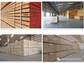 盤點2017年上半年入駐中國建材迪拜海外倉產品動態與銷售趨勢